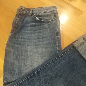 Loft Distressed Boyfriend Jeans